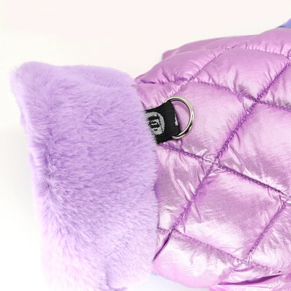 Wasserfeste Winterjacke für Hunde – warm, weich & bequem