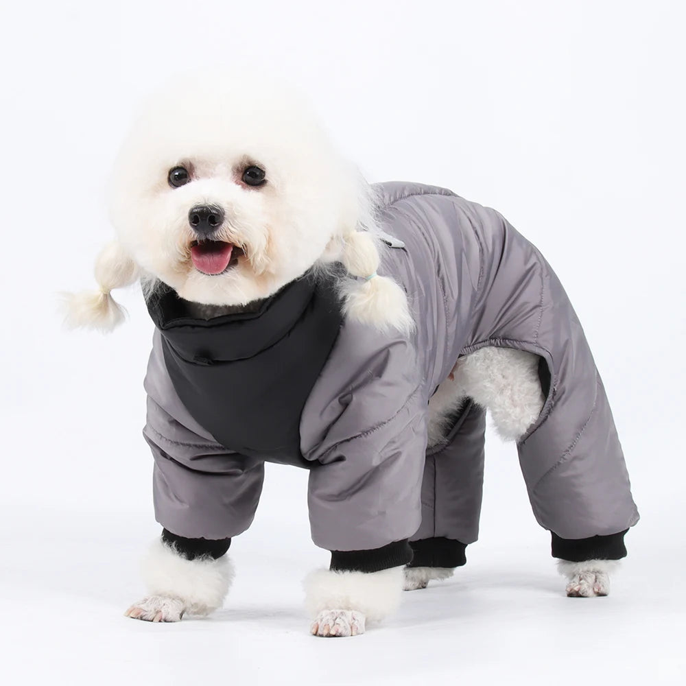 Wasserdichte Winterjacke für Hunde – Warm & Gefüttert für Chihuahua, Bulldogge & Mops