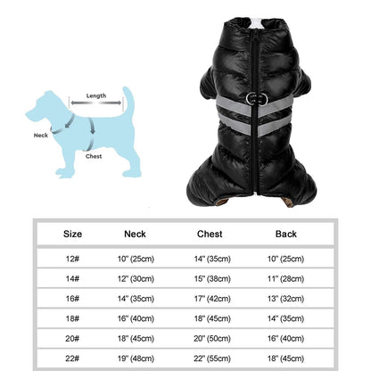 Wasserfeste Winterjacke für Hunde – warm, weich & bequem