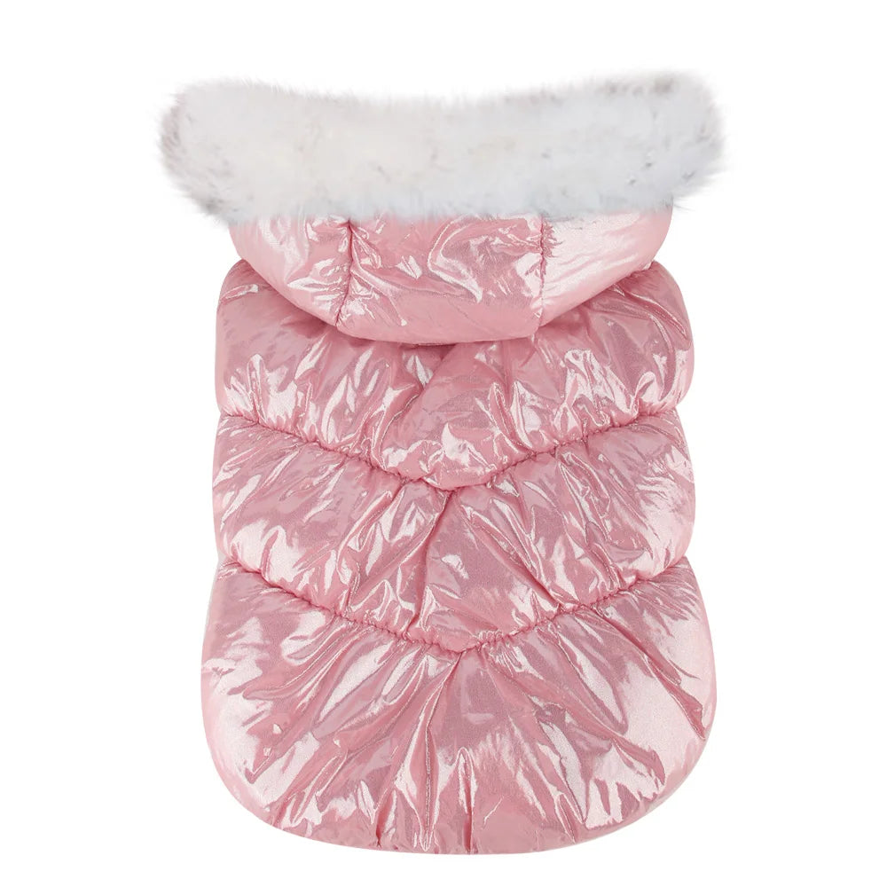 Warmer Wintermantel für kleine Hunde – winddicht, weich & mit Fellkragen