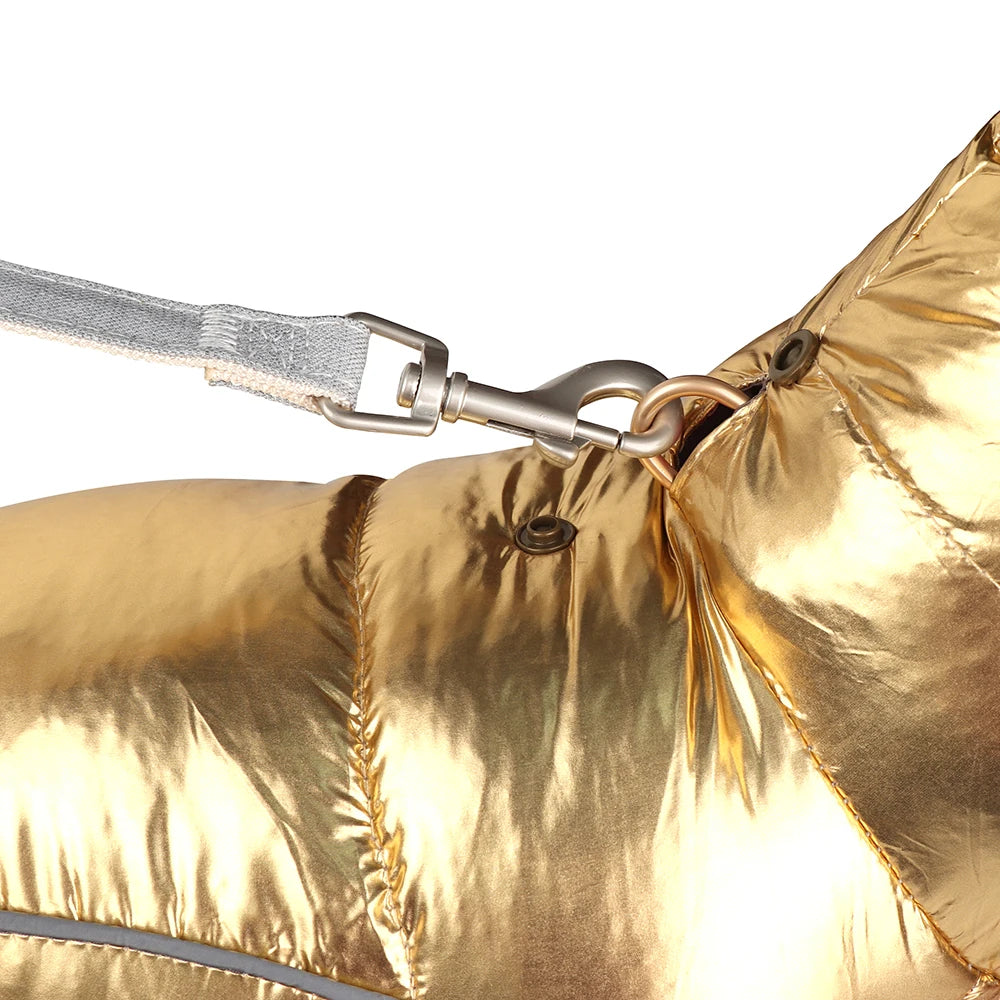 Wasserfeste Winterjacke für Hunde – warm, weich & bequem