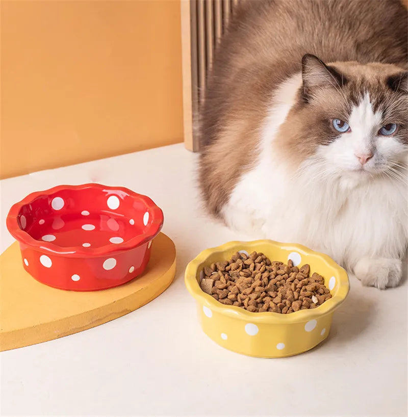 Keramik Futternapf für Katzen | Rutschfest & Hygienisch