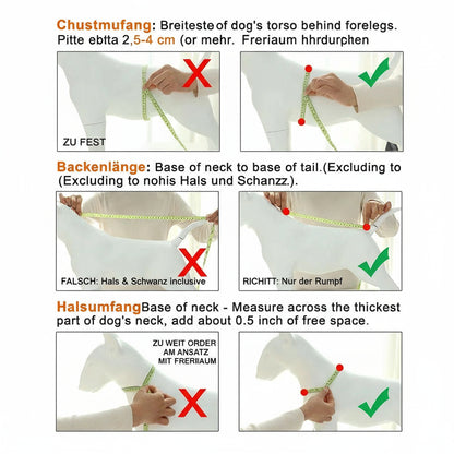 Wasserfeste Winterjacke für Hunde – warm, reflektierend & winddicht