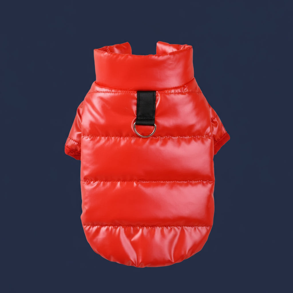 Wärmender Wintermantel für kleine Hunde – wasserdicht, reflektierend, modisch & kuschelig