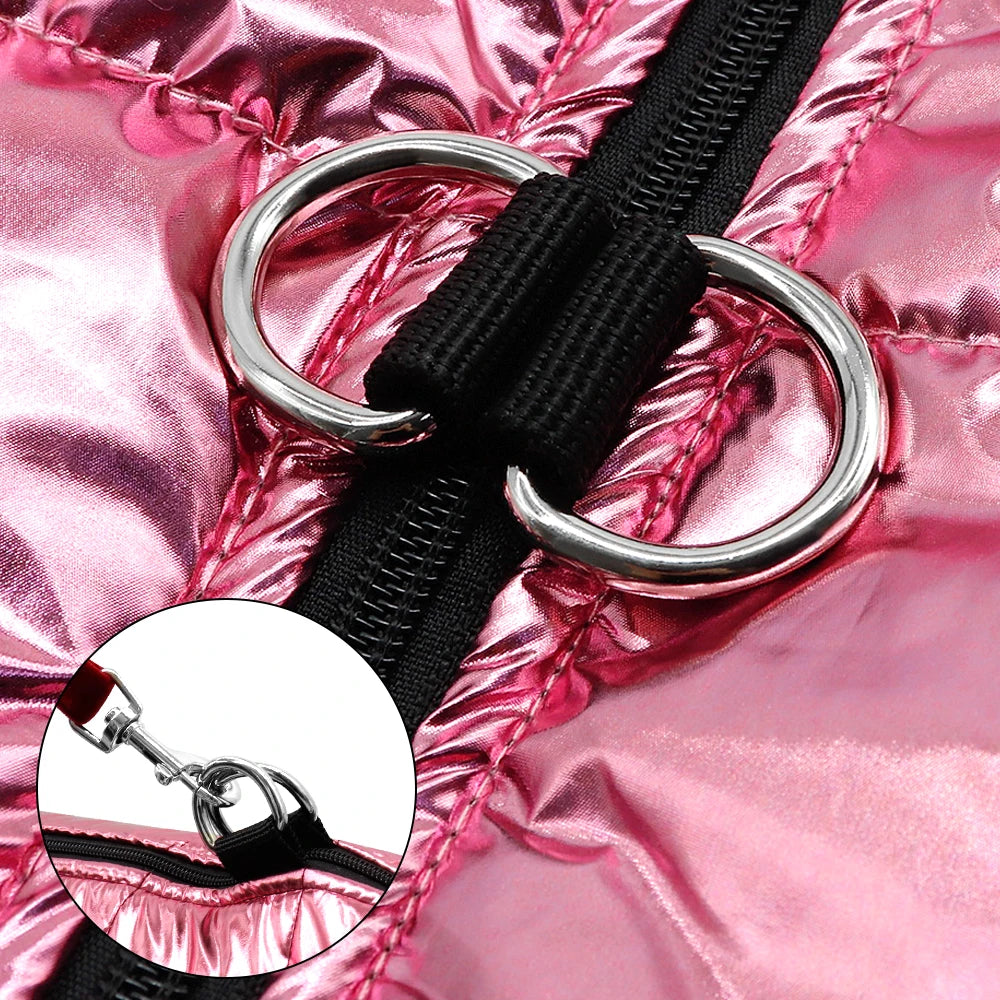 Wasserdichte Winterjacke für Hunde – warm, reflektierend & winddicht – ideal für Französische Bulldoggen & Chihuahua