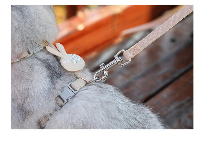 Adjustable cat harness with leash – cartoon design for kittens &amp; puppies