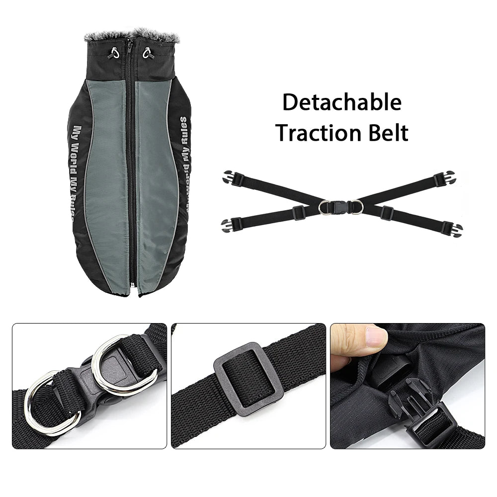 Wasserdichter Wintermantel für große Hunde – mit Geschirr, warm & winddicht