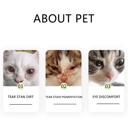 Haustier-Pflegeset 4-teilig - Kamm, Zahnbürste, Schere, Nagelknipser für Hunde & Katzen