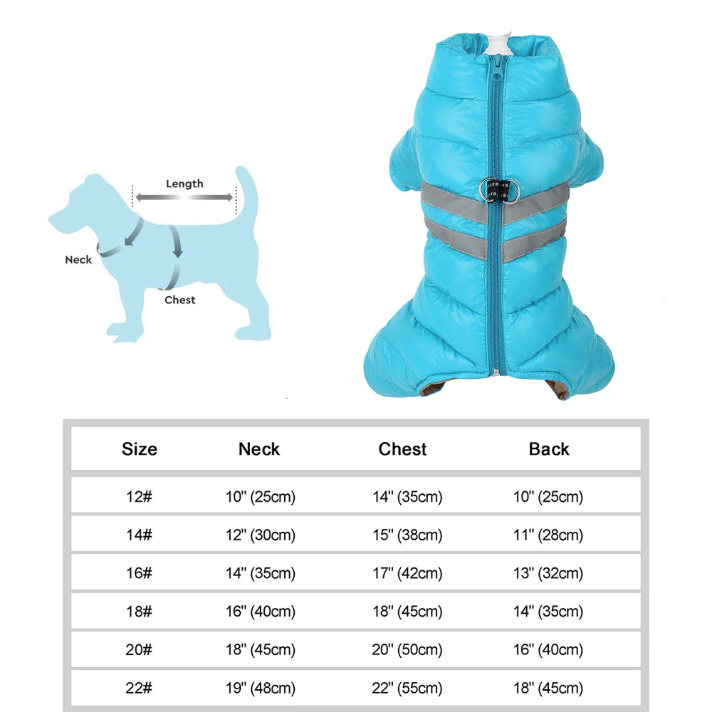 Wasserfeste Winterjacke für Hunde – warm, weich & bequem