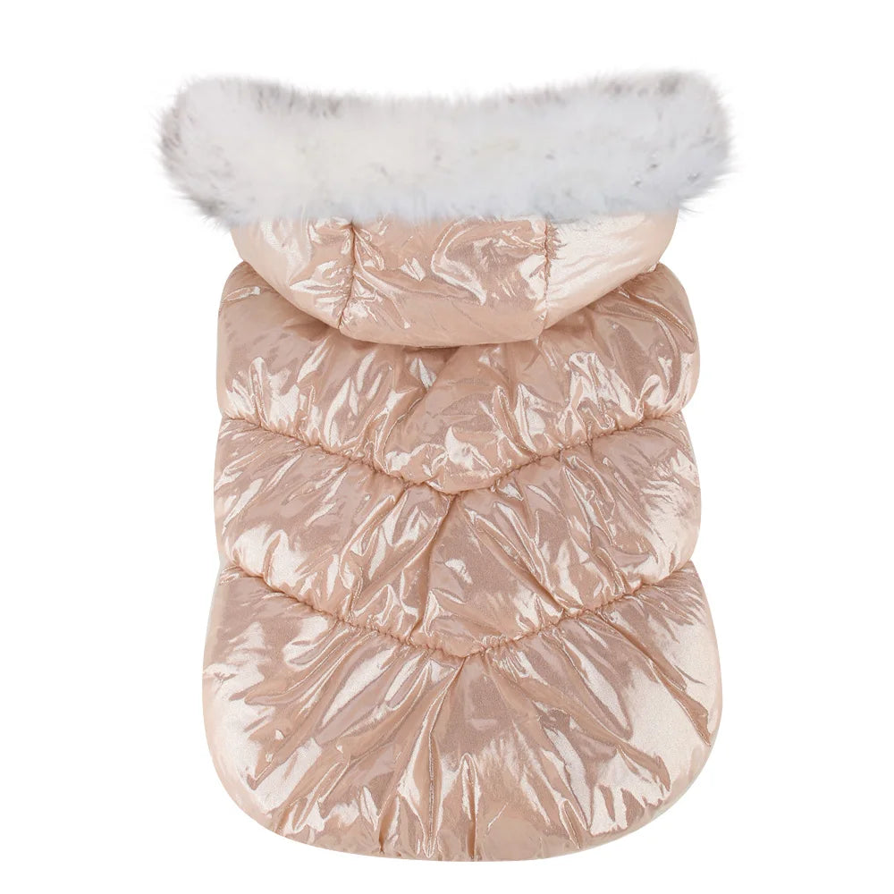 Warmer Wintermantel für kleine Hunde – winddicht, weich & mit Fellkragen