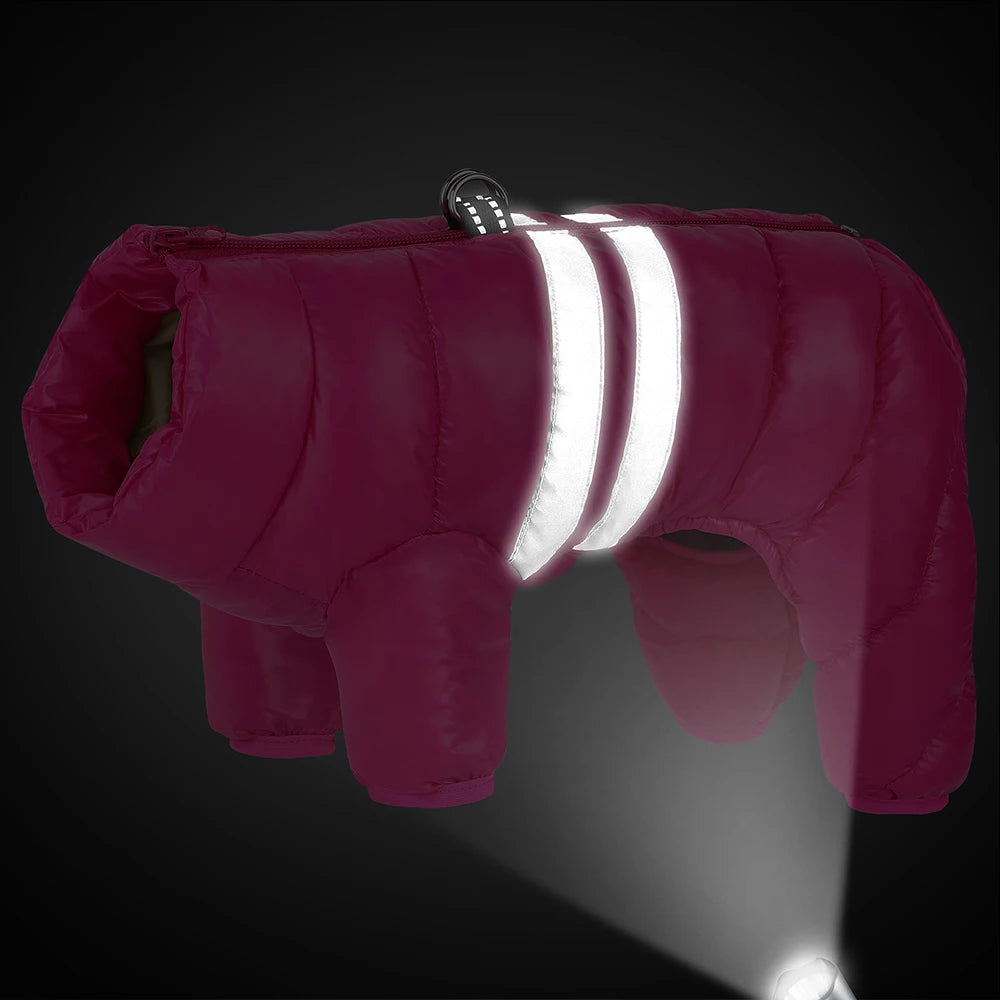 Wasserfeste Winterjacke für Hunde – warm, weich & bequem