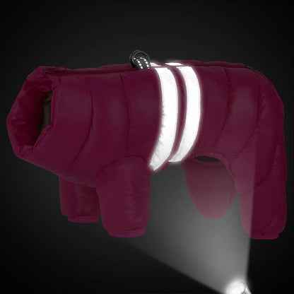 Wasserfeste Winterjacke für Hunde – warm, weich & bequem