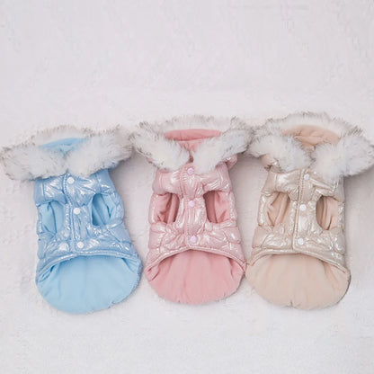 Warmer Wintermantel für kleine Hunde – winddicht, weich & mit Fellkragen