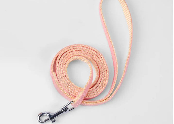 Verstellbares Cartoon-Geschirr mit Leine – Komfortable Halsung für Katzen & kleine Hunde