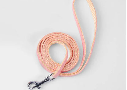 Verstellbares Cartoon-Geschirr mit Leine – Komfortable Halsung für Katzen & kleine Hunde