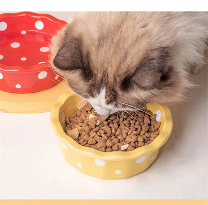 Keramik Futternapf für Katzen | Rutschfest & Hygienisch