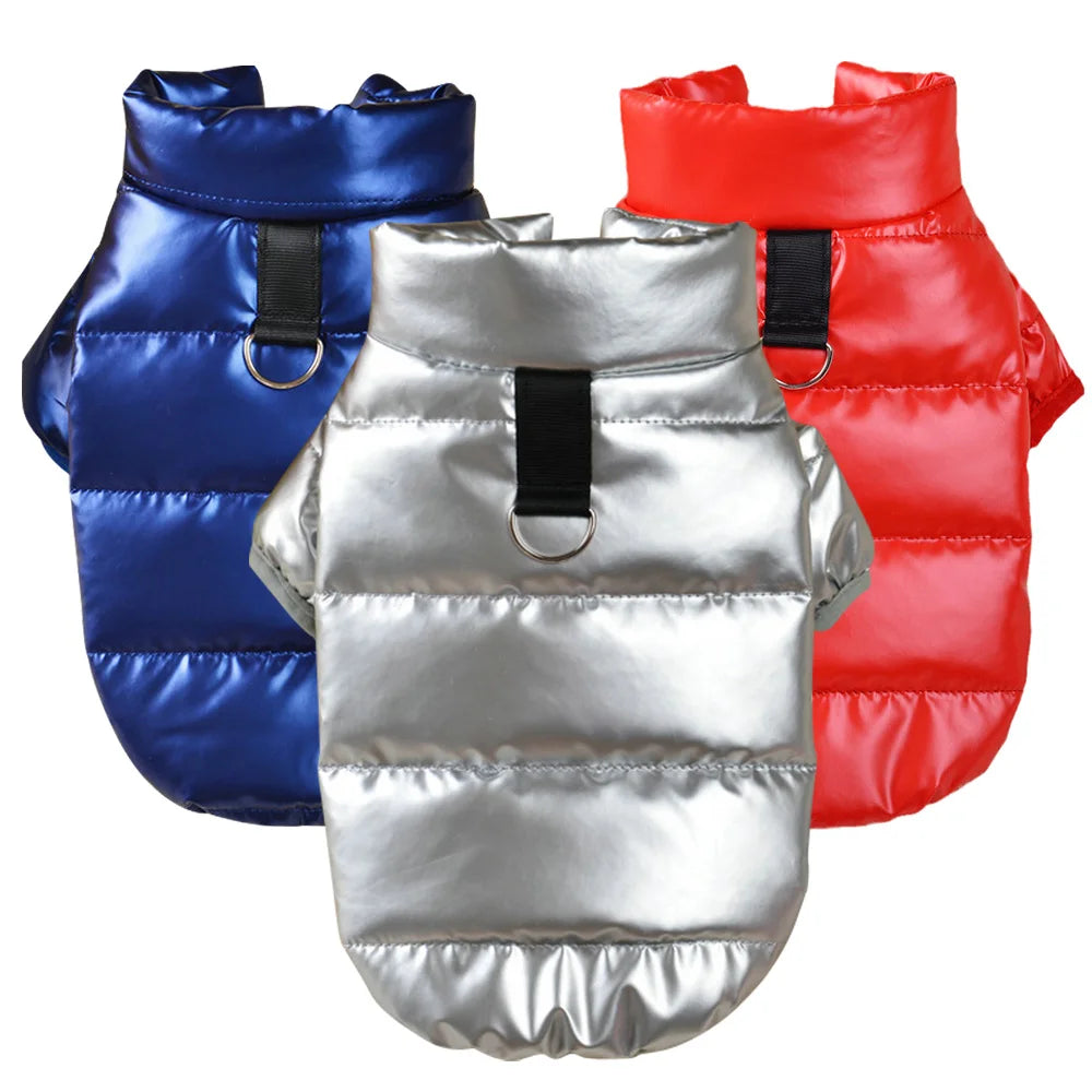 Wärmender Wintermantel für kleine Hunde – wasserdicht, reflektierend, modisch & kuschelig