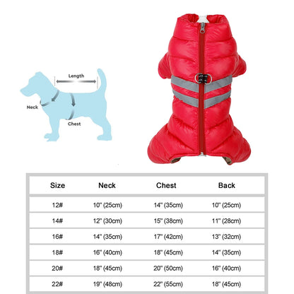 Wasserfeste Winterjacke für Hunde – warm, weich & bequem