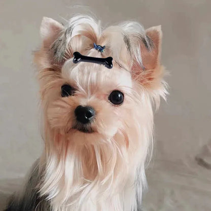 Hunde Haarspange in Knochenform – Stylische Fellhaar-Clips für Hunde & Katzen