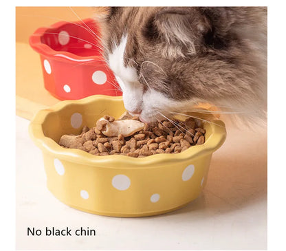 Keramik Futternapf für Katzen | Rutschfest & Hygienisch