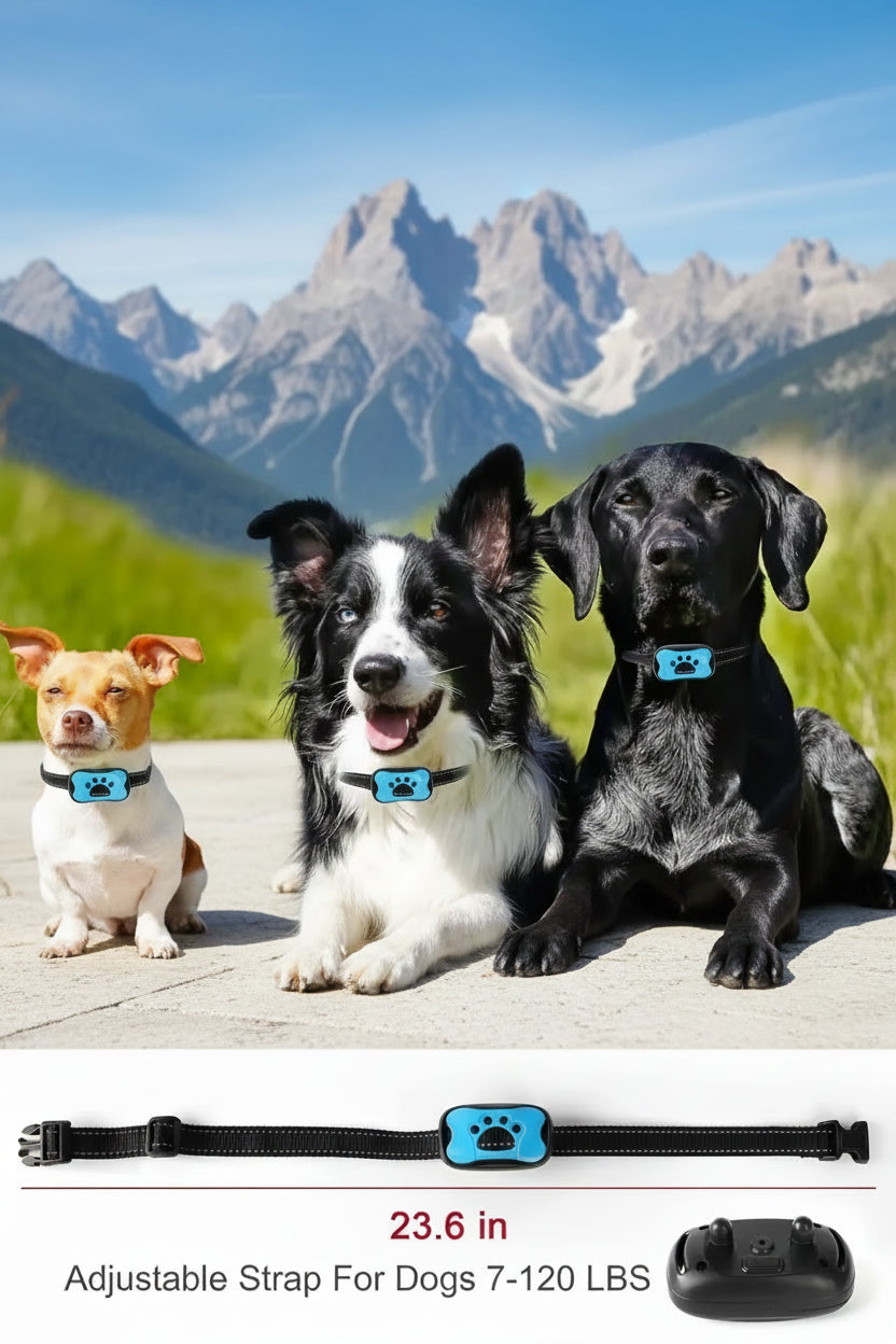 Anti-Bell-Halsband Detailansicht - Bedienelemente