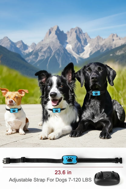 Anti-Bell-Halsband Detailansicht - Bedienelemente