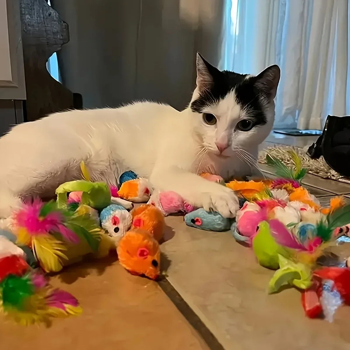 Cat Toy Set 56/28/14 Pieces - Colorful Mix of Plush &amp; Plastic for Multiple Cats